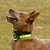 frisbee