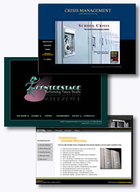 Website Design